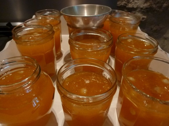 Confiture d'Abricots aux Amandes