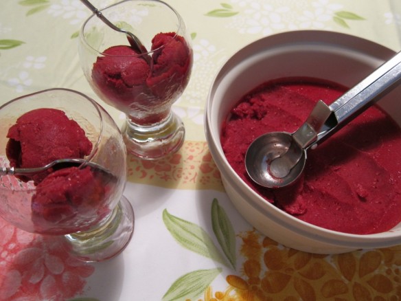 Sorbet Framboise et Cassis