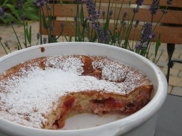 Clafoutis aux Quetsches