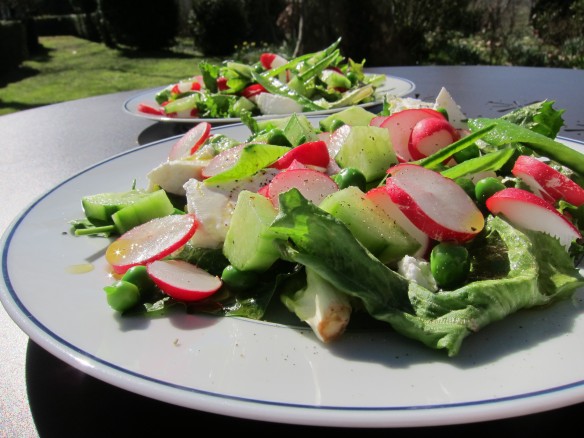 Radish, Pea, Cucumber and herb Salad with Mozzarella