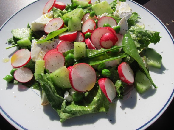 Salade de Radis, Petits Pois, Concombre et Mozzarella