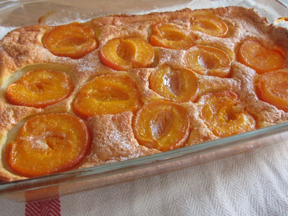 Flognarde aux Abricots