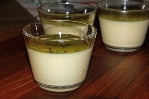 Pannacotta with Kiwi Coulis 