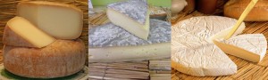 cheese-comp