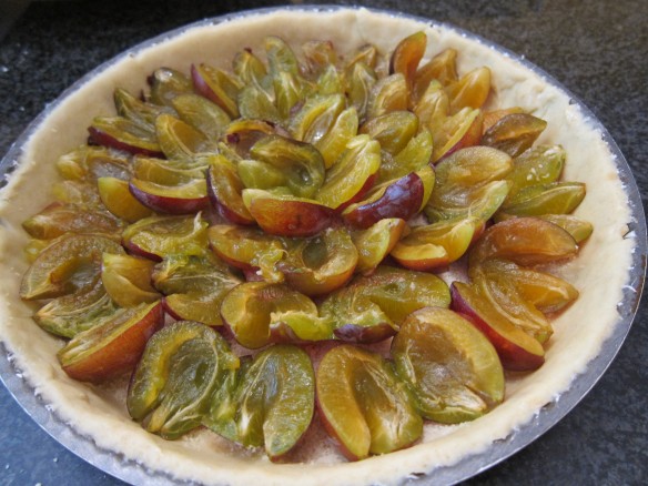 Red Plum Tart