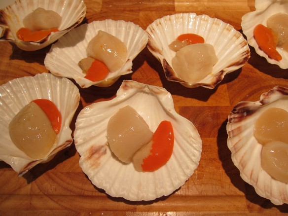 Fresh Scallops