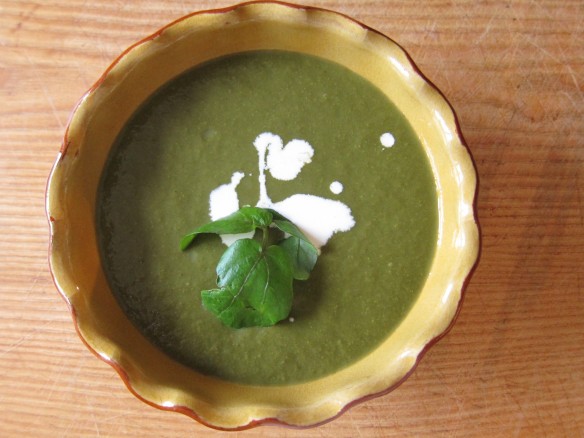 Watercress Soup